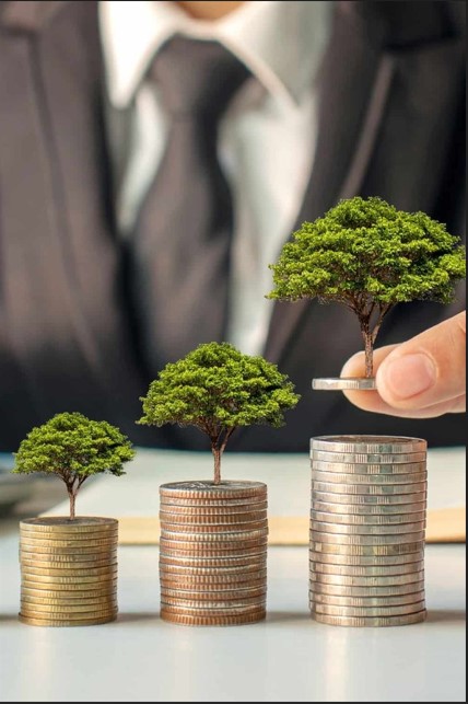 coins currency with tree on top